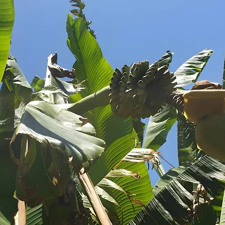 Azur Toulouse Sud Дом отдыха *