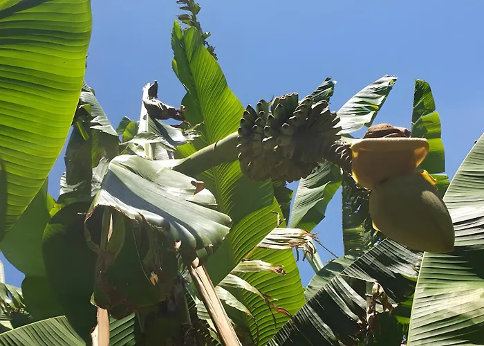 Azur Toulouse Sud Dom wakacyjny *